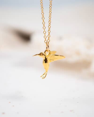 Goldfilled Gouden Kolibrie ketting Hummingbird hanger Goud Vermeil